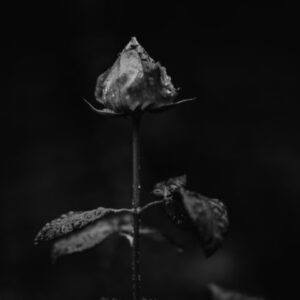 دانلود آهنگ ترکی جانان کاش گله بیر دفعه زنگی بسیمدی منیم