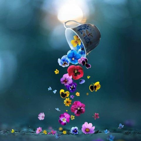 دانلود آهنگ ترکی آیسون اسماعیلوا گری دون اله بو ساعات بو آن دانلود آهنگ ترکی آیسون اسماعیلوا گری دون اله بو ساعات بو آن