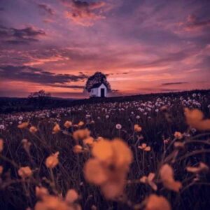 دانلود آهنگ ترکی آیسون اسماعیلوا قیزیم آی آنانین اوریی