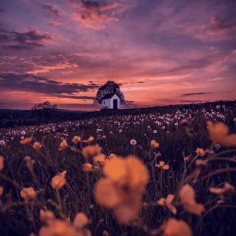 دانلود آهنگ ترکی آیسون اسماعیلوا قیزیم آی آنانین اوریی