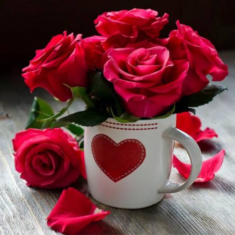 دانلود آهنگ ترکی گونل محرموا او ساده اوغلاندی سوگیسی دونیامدی دانلود آهنگ ترکی گونل محرموا او ساده اوغلاندی سوگیسی دونیامدی