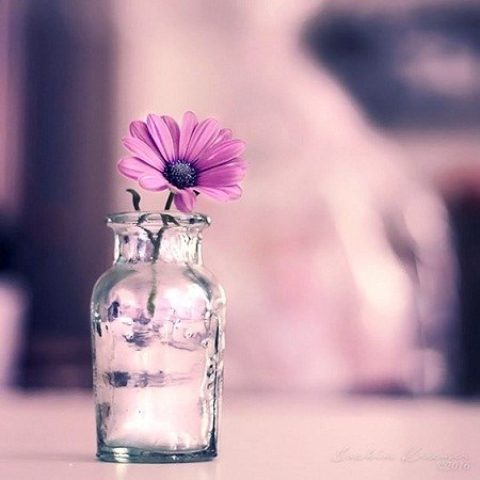 دانلود آهنگ ترکی ایفرات و وفا شریفوا بوش ور گتسین هر شی یالان دانلود آهنگ ترکی ایفرات و وفا شریفوا بوش ور گتسین هر شی یالان