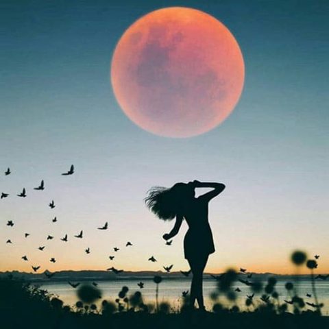 دانلود آهنگ ترکی کونول کریموا گوزوم یاشلا دولار سنسیز دانلود آهنگ ترکی کونول کریموا گوزوم یاشلا دولار سنسیز