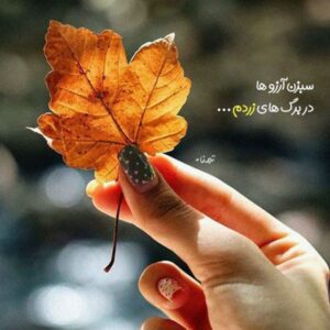 دانلود آهنگ ترکی شفا حسین اوا  سندن سونرا دانلود آهنگ ترکی شفا حسین اوا  سندن سونرا