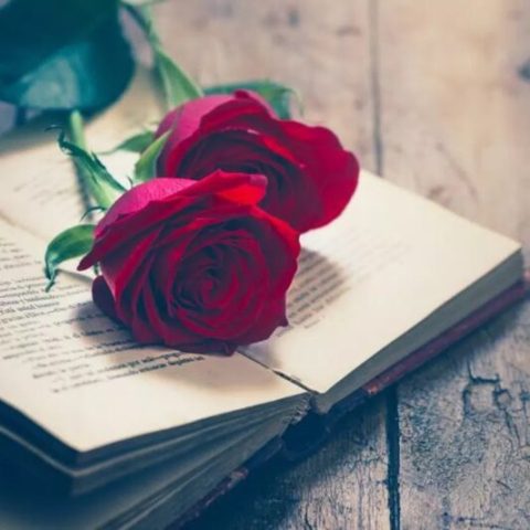 دانلود آهنگ ترکی تورکان ولیزاده بو گجه بیزیم گجمیز اولسون اولسون