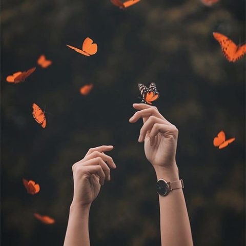 دانلود آهنگ ترکی زنفیرا ابراهیموا اوریی یانمیش آدام نجه اولار دانلود آهنگ ترکی زنفیرا ابراهیموا اوریی یانمیش آدام نجه اولار