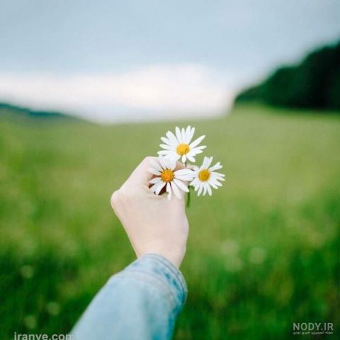 دانلود آهنگ ترکی آیسون اسماعیلوا عشق ینه وردو باشا