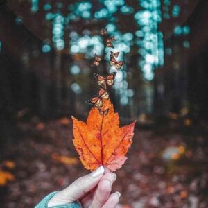 دانلود آهنگ ترکی داملا باشیمی یاستیغا گویاندا (محکوم) دانلود آهنگ ترکی داملا باشیمی یاستیغا گویاندا (محکوم)