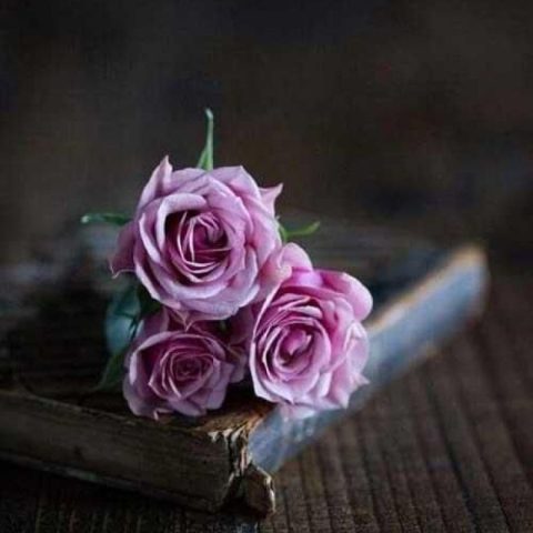 دانلود آهنگ ترکی نور جنت آشک ایچین