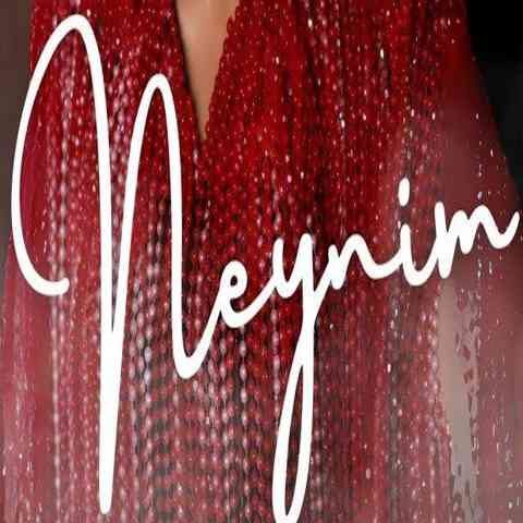 دانلود آهنگ ترکی شبنم تووزلو بیلدیم کی بیتدی او گونلر دانلود آهنگ ترکی شبنم تووزلو بیلدیم کی بیتدی او گونلر