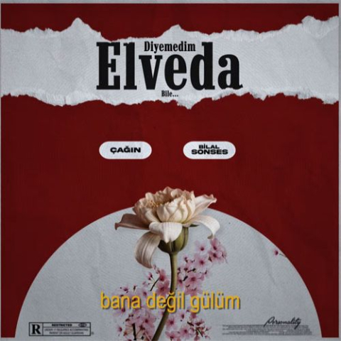 بلال سونسس دیمدیم الوداع