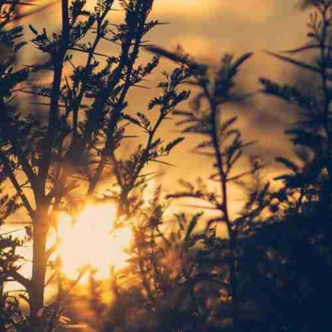 دمت اللو گچمیشه گومدوم آجیلاریمی