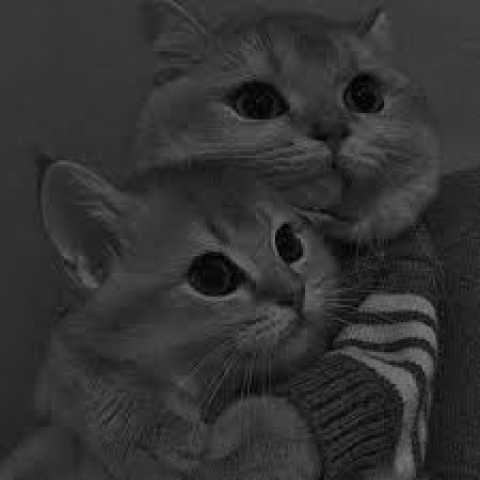 صدف بوداقوا نینیم نینیم کی یار وفاسیز اولدو