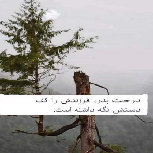 دانلود آهنگ های برات حمیدی (خواننده کرمانجی شاد غمگین جدید)