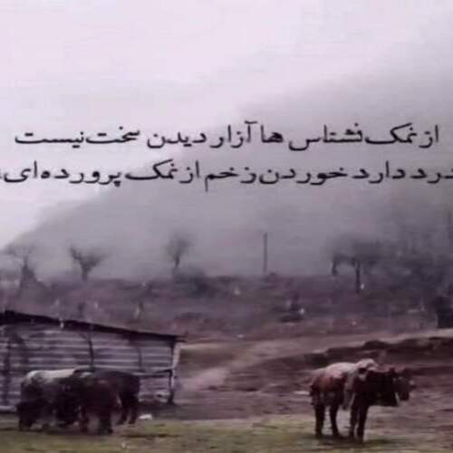 دانلود آهنگ های قاسم فاضلی جدید (خواننده لری بختیاری)