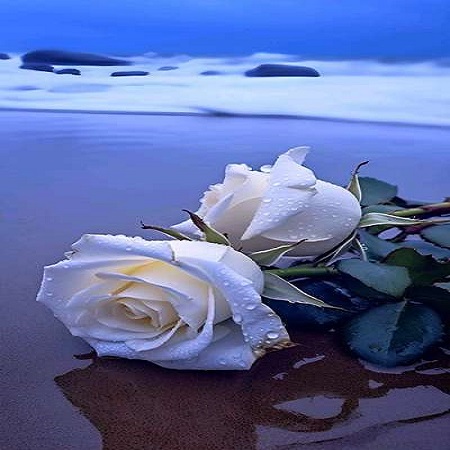 دانلود آهنگ ترکی دیجی یالنیز آیری سالدی گوزومنن بو قیز نازلی گوزونن