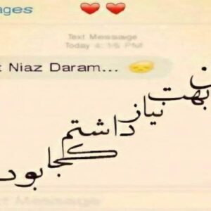 دانلود آهنگ های دیجی یالنیز ریمیکس جدید (خواننده ترکی مشگین شهر شاد غمگین)