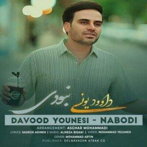 دانلود آهنگ نبودی داوود یونسی (چه میدونی چی کشیدم وقتایی که نبودی)