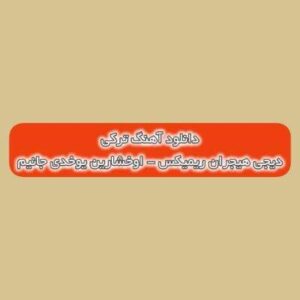دانلود آهنگ ترکی اوخشارین یوخدی‌ جانیم عاشیقین چوخدی جانیم دیجی هیجران ریمیکس