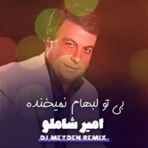 دانلود ریمیکس بی تو لبهام نمیخنده دلم پیش تو بنده امیر شاملو و دیجی میدن