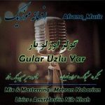 دانلود آهنگ ترکی گولر اوزلو یار افسانه موزیک (آیری قالانمام من یاشایامام) دانلود آهنگ ترکی گولر اوزلو یار افسانه موزیک (آیری قالانمام من یاشایامام)