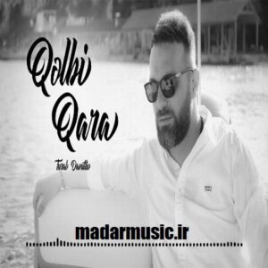 دانلود آهنگ ترکی تورال داوودلو سنی سودییم قدر هچ کیمی سوممیشتیم آی قلبی قارا دانلود آهنگ ترکی تورال داوودلو سنی سودییم قدر هچ کیمی سوممیشتیم آی قلبی قارا