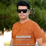دانلود آهنگ ترکی عسگر داودی مغان تویلاری