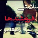 دانلود آهنگ های بنگو جدید 2026 و قدیمی (خواننده ترکیه ای)