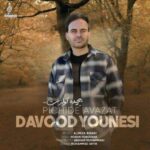 دانلود آهنگ پیچیده آوازت توی این آبادی داوود یونسی