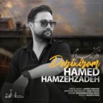 دانلود آهنگ ترکی حامد حمزه زاده داریخیرام
