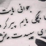 دانلود آهنگ های امیر حیدری نقده جدید (خواننده ارکستی ترکی سولدوز) شاد غمگین