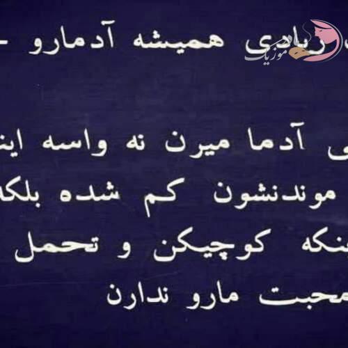 دانلود آهنگ های کورای آوجی (خواننده ترکیه ای شاد غمگین جدید)